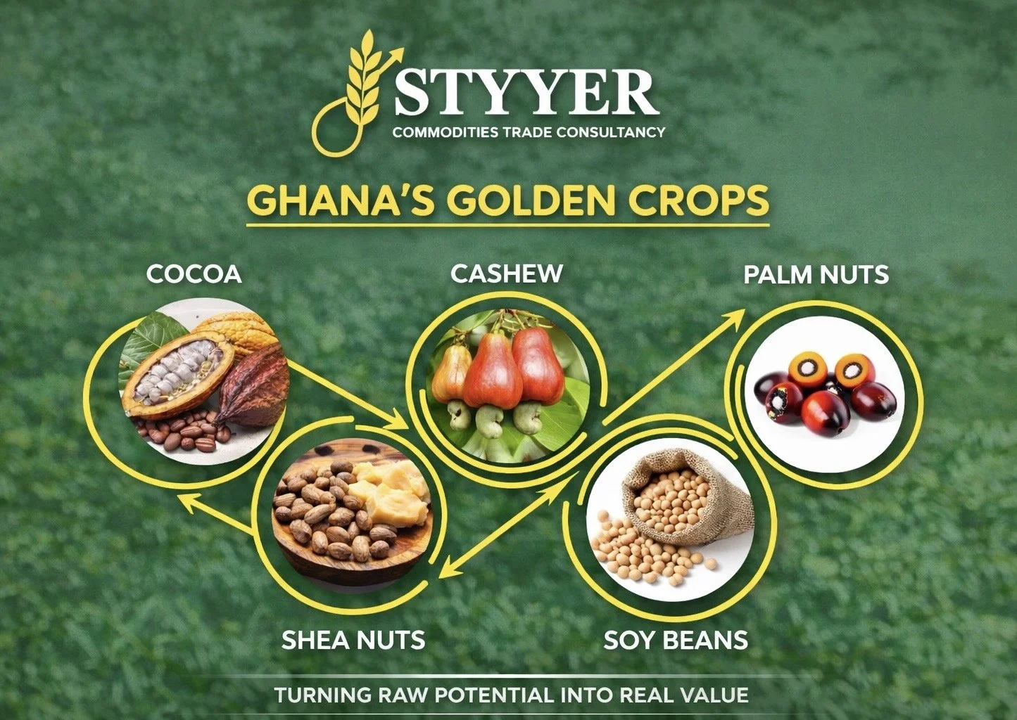 Ghana’s Golden Crops: The 5 Commodities Driving Africa’s Next Agricultural Trade Boom