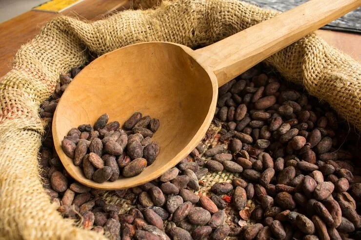 wooden cup with cocoa bean - Styyer Commodities