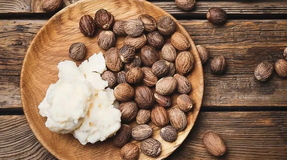 Shea Nuts – Major raw material for cosmetics and food industries