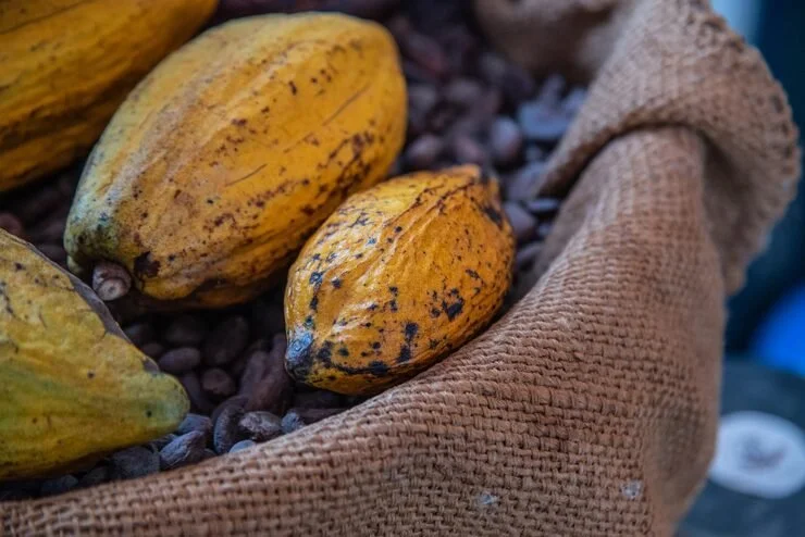 Cocoa bean in jute bag - Styyer Commodities