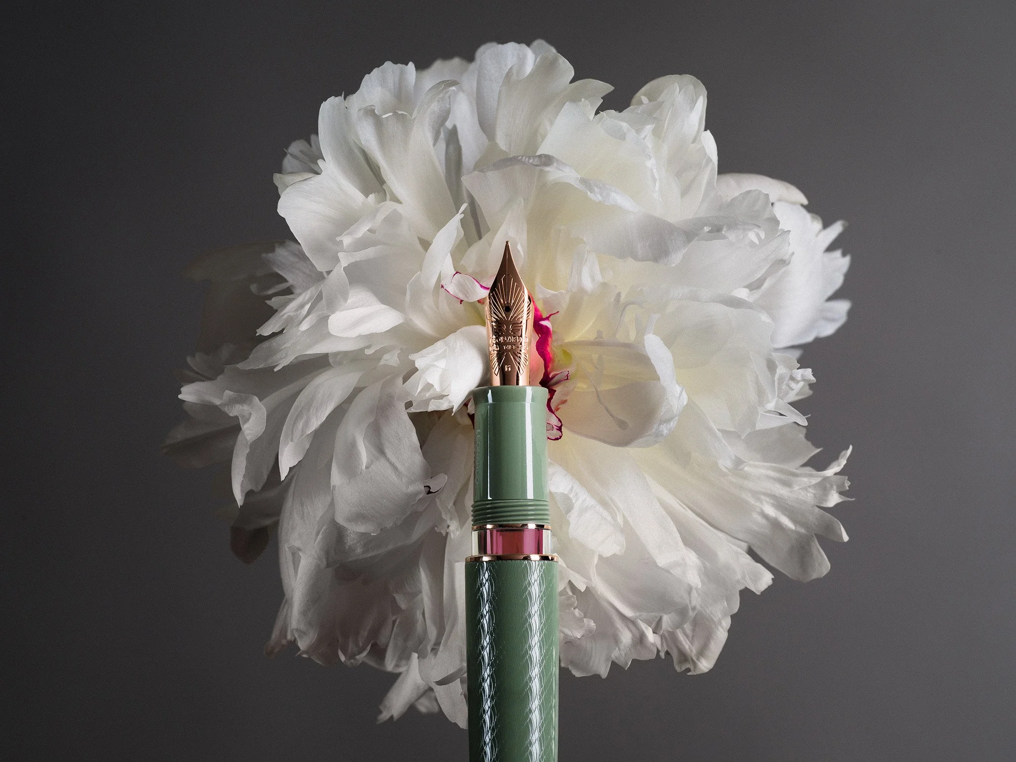 Laywine's Leonardo Fountain pen.jpg