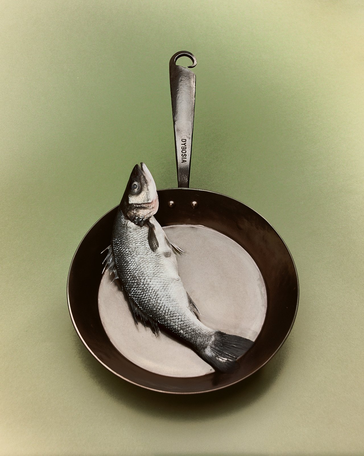 Nicholas_Hyatt_Fish_Study_01_Portra160 copy.jpg