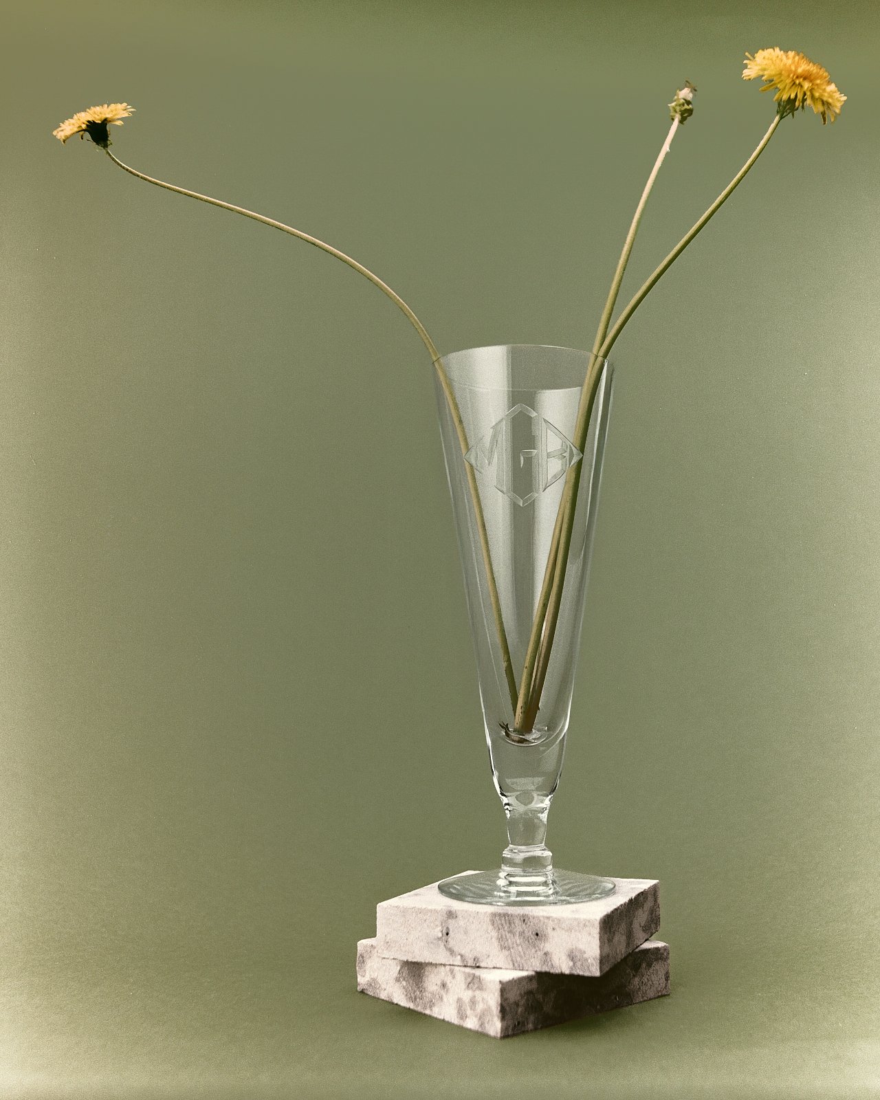 Nicholas_Hyatt_Dandelion_Study_01_Portra160.jpg