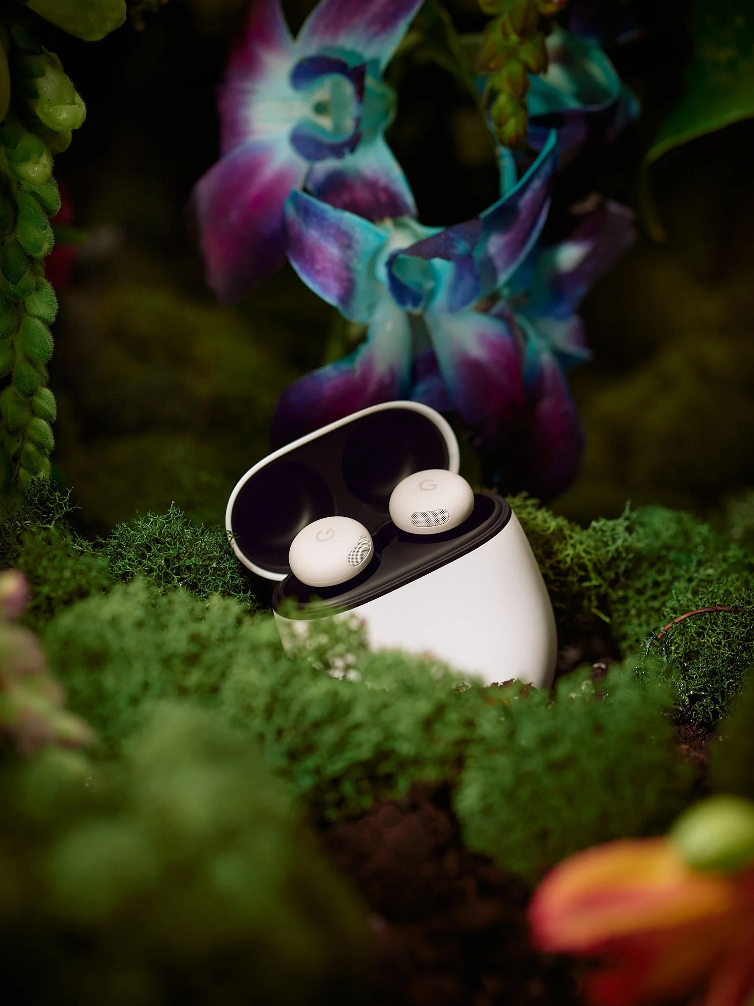 Tenfold Google Spec3002 1.jpg