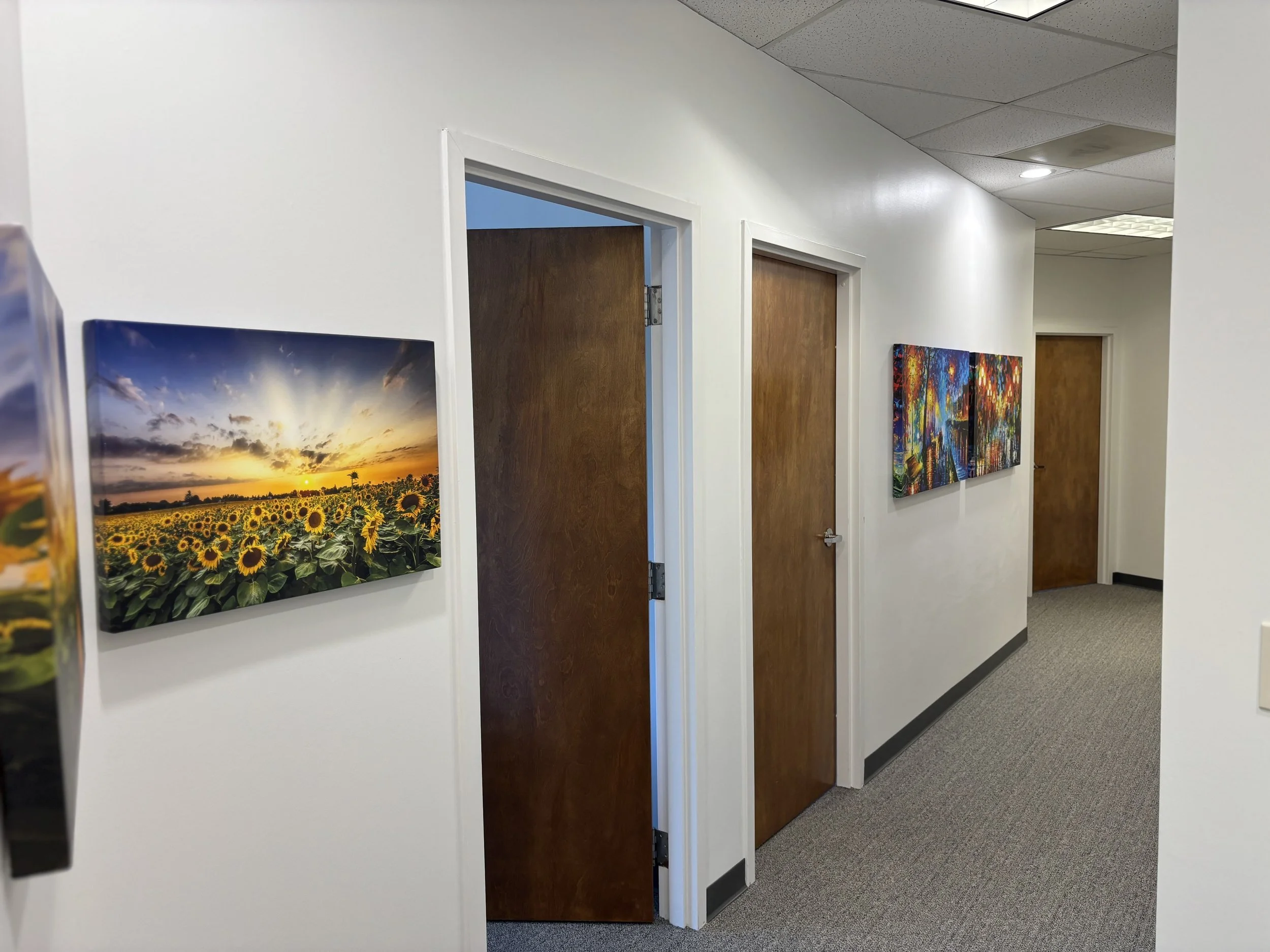 Hallway with three closed wooden doors and two framed landscape paintings on white walls.