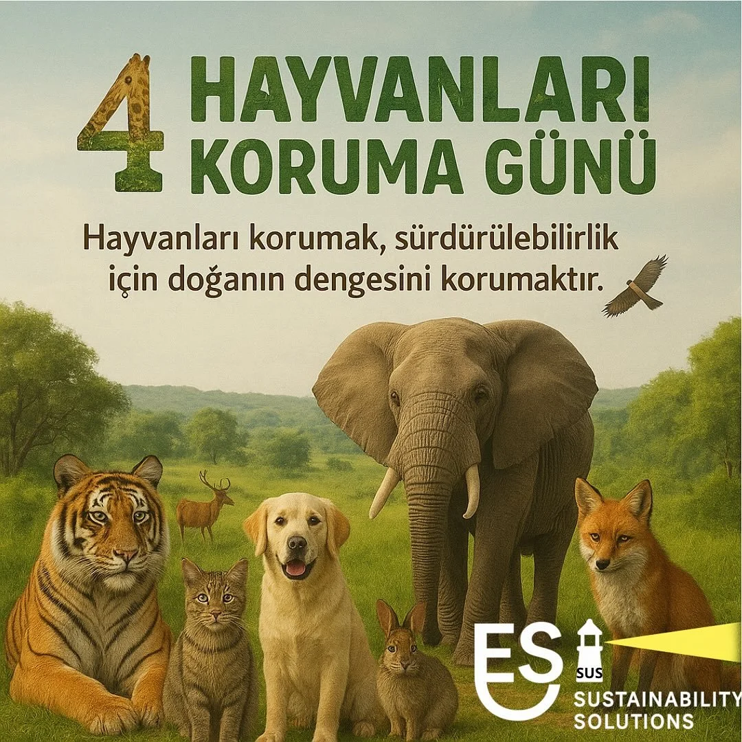 Hayvanlar, ekosistemlerin dengede kalmasında kritik bir rol oynar. Tozlaşmadan zararlı böceklerin kontrolüne, besin döngüsünden toprağın verimliliğine kadar birçok süreçte katkı sağlarlar. Biyoçeşitl