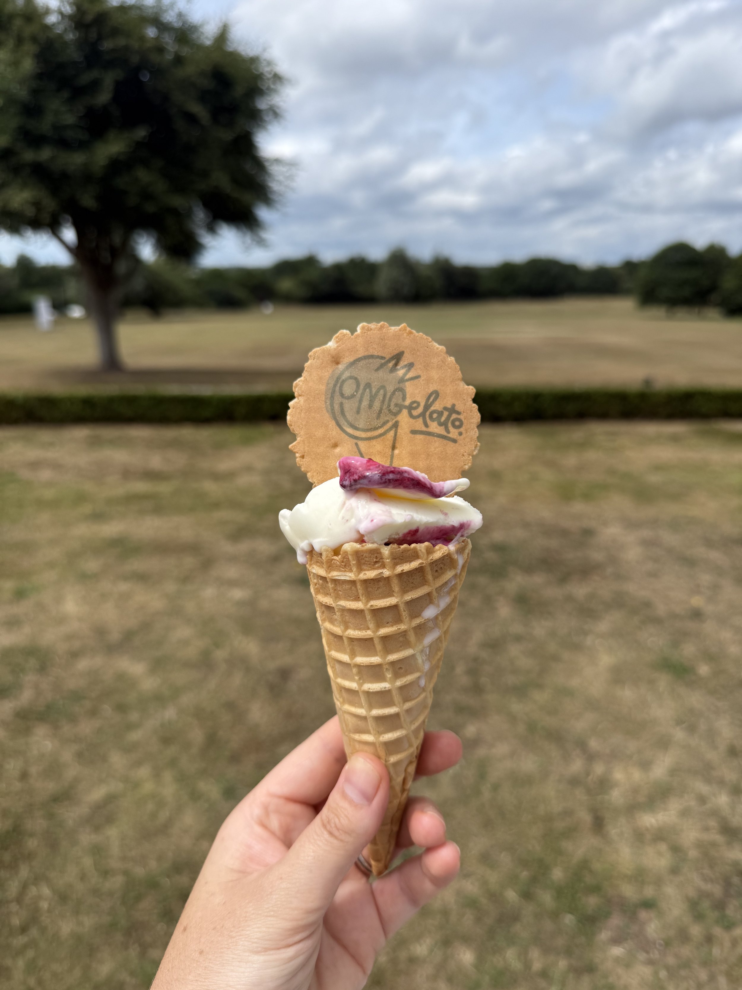 Hand holding a waffle cone with ice cream topped with a cookie and a gelatin-like topping, outdoors with trees and cloudy sky in the background.