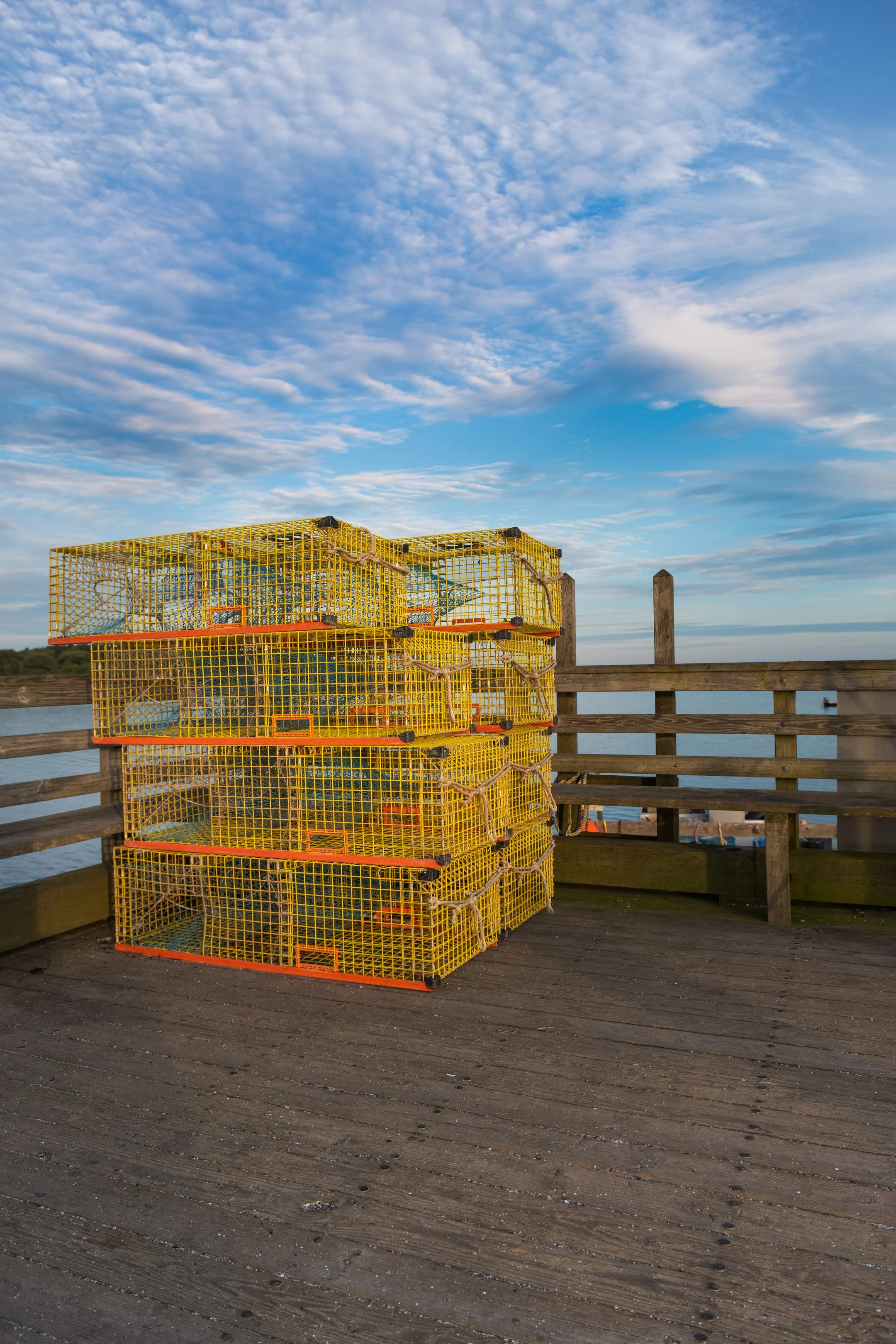 Landscapes - New England Coastal Project -11.jpg