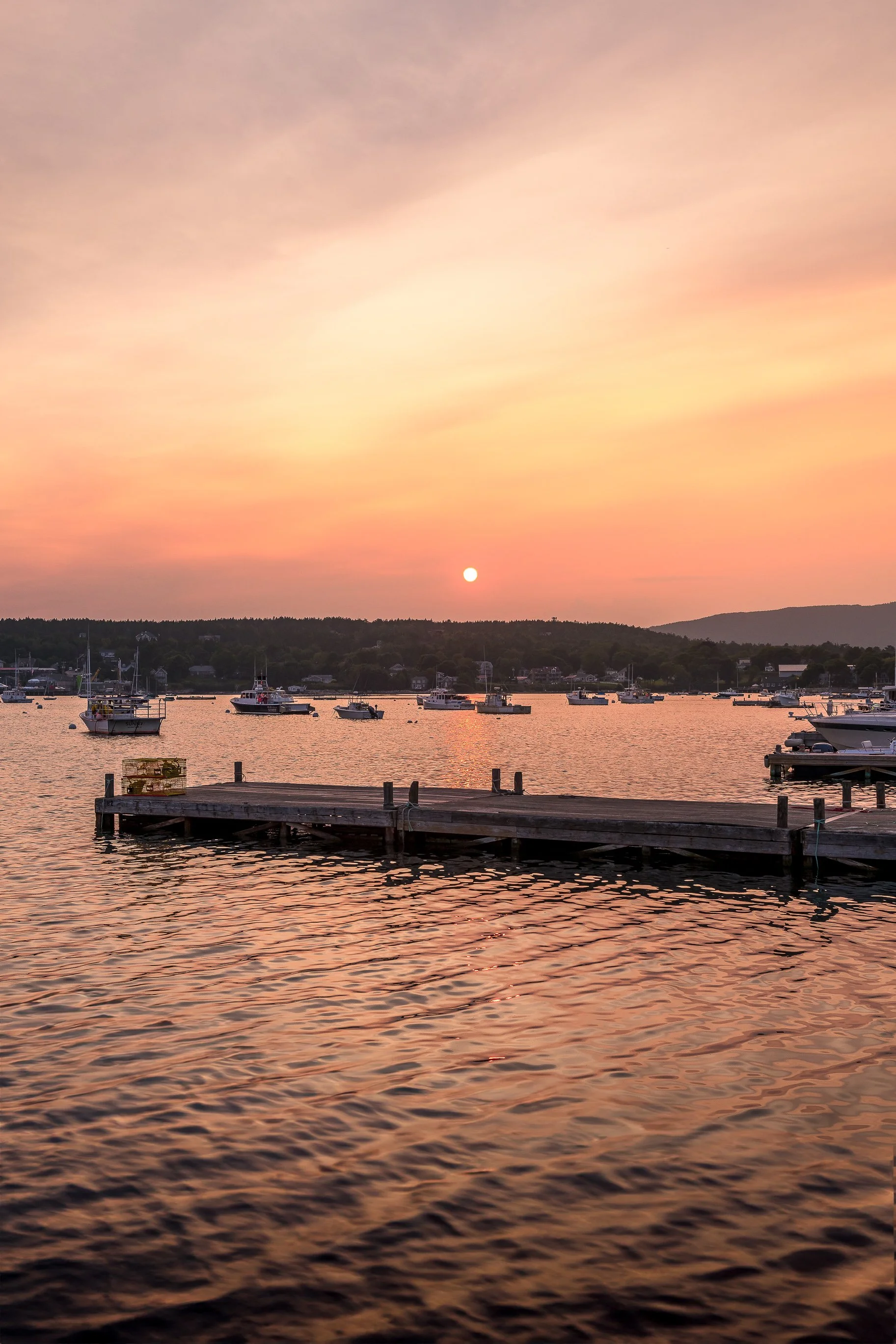 Landscapes - New England Coastal Project -26.jpg