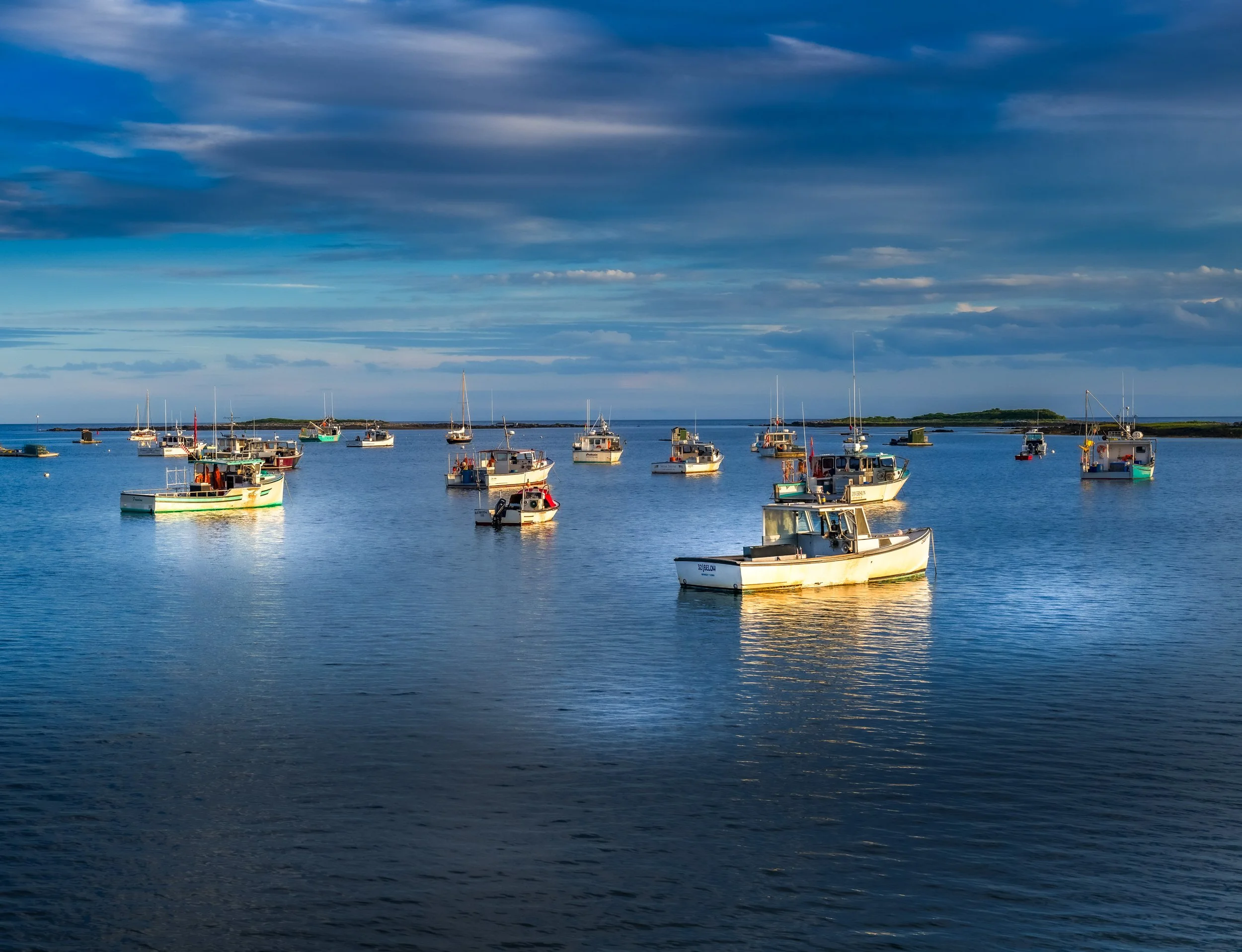 Landscapes - New England Coastal Project -10.jpg