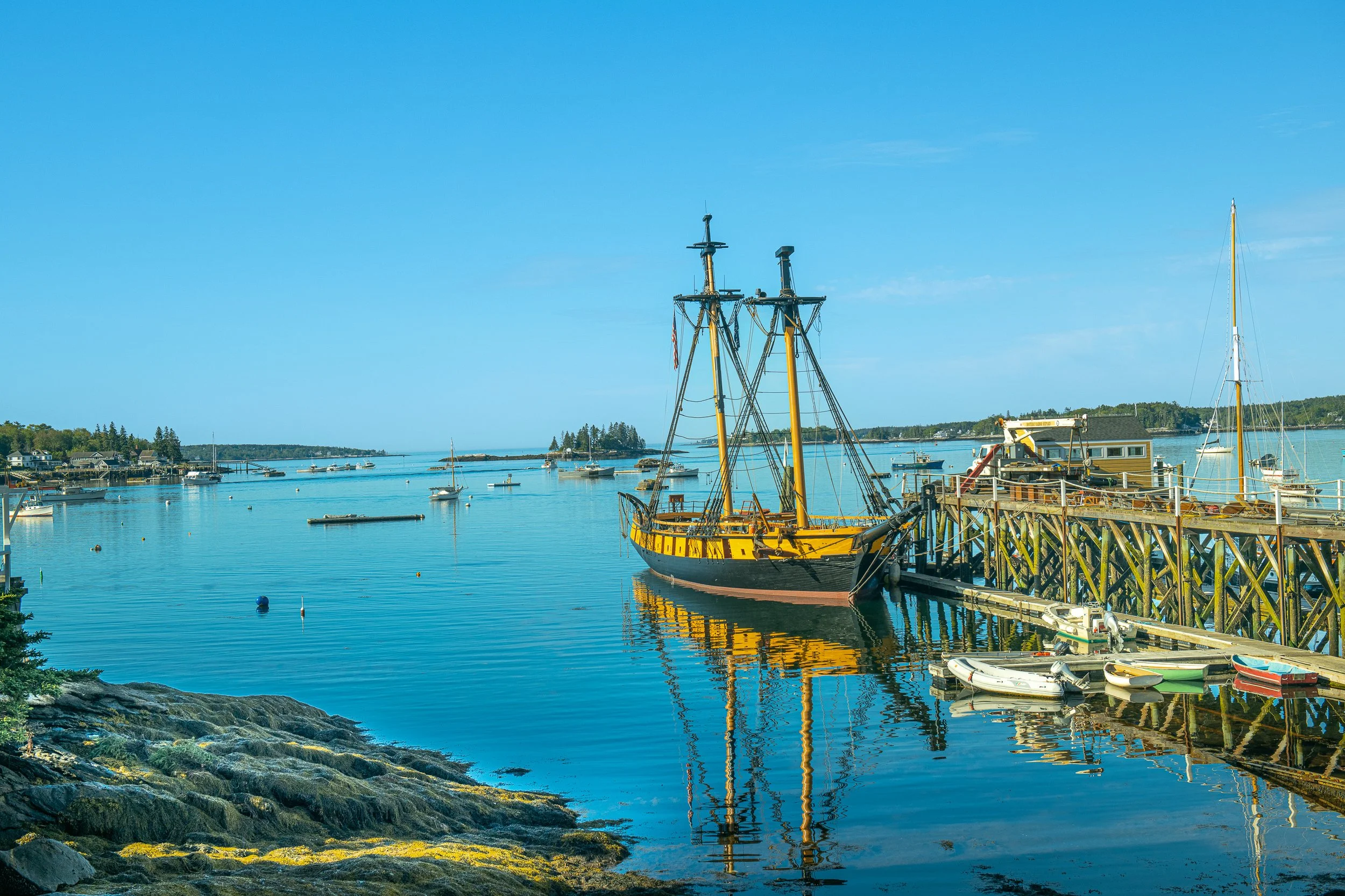 Landscapes - New England Coastal Project -25.jpg