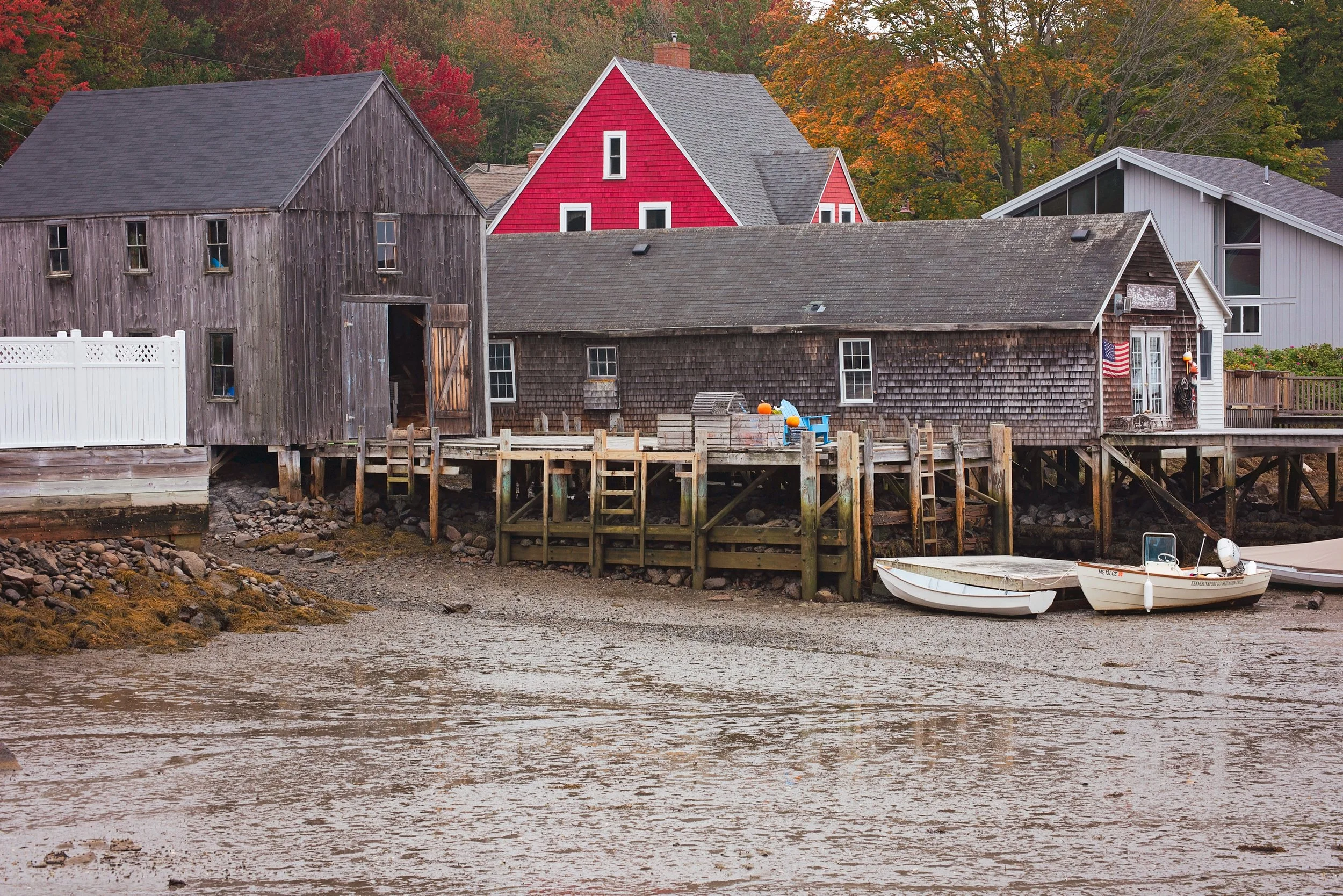 Landscapes - New England Coastal Project -5.jpg