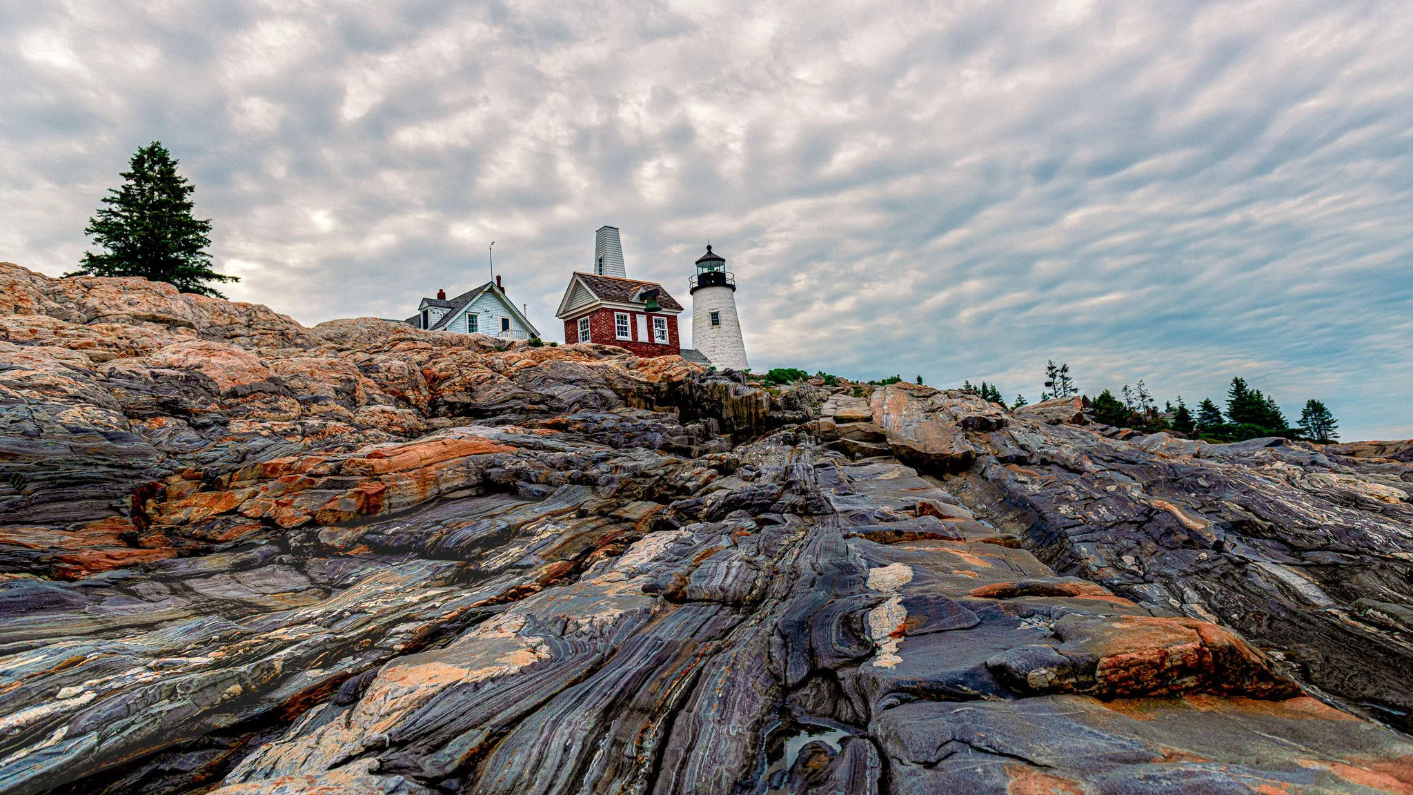 Landscapes - New England Coastal Project -19.jpg