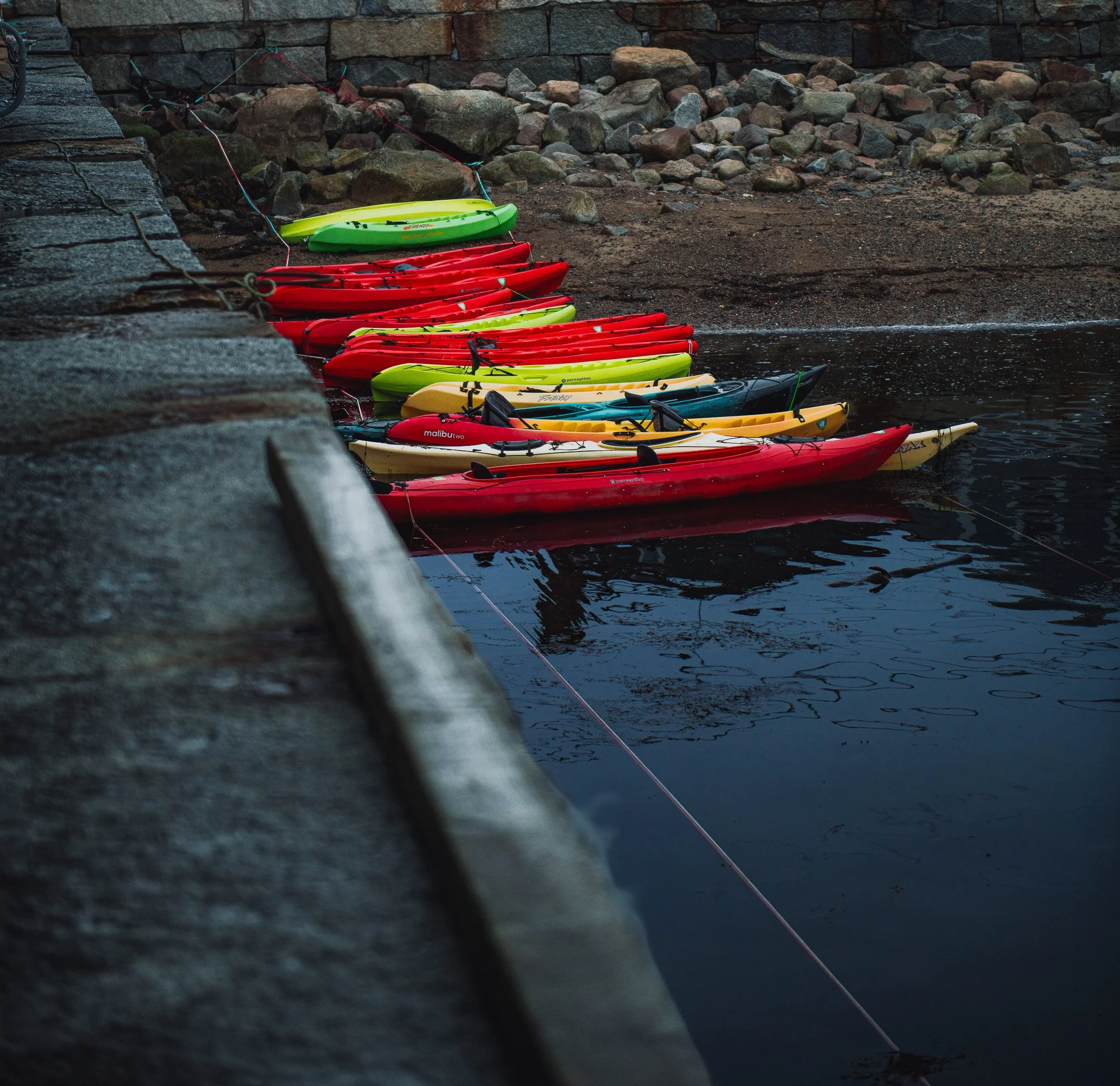 Landscapes - New England Coastal Project -22.jpg