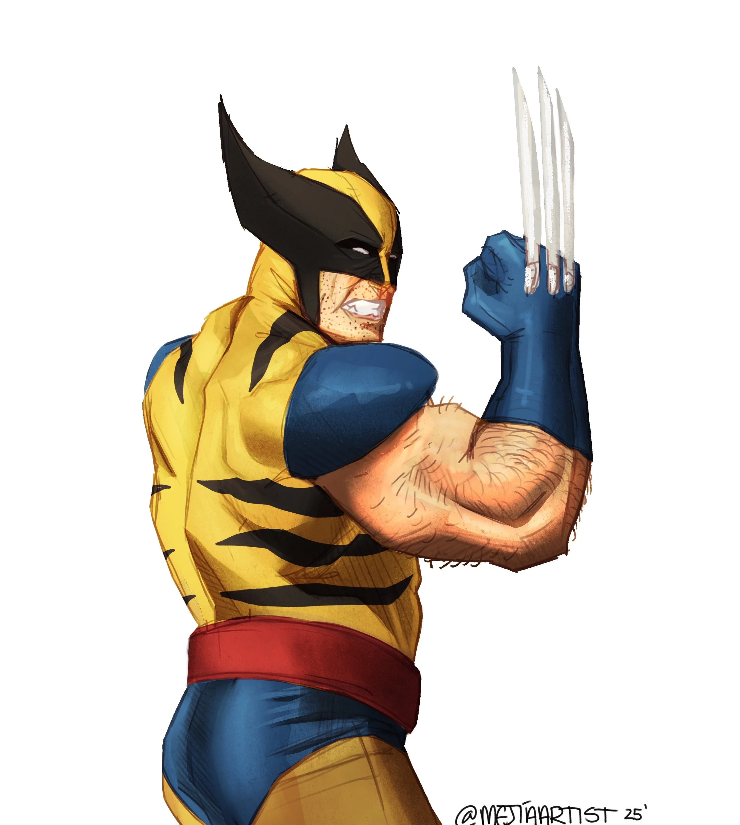 Wolverine study/painting