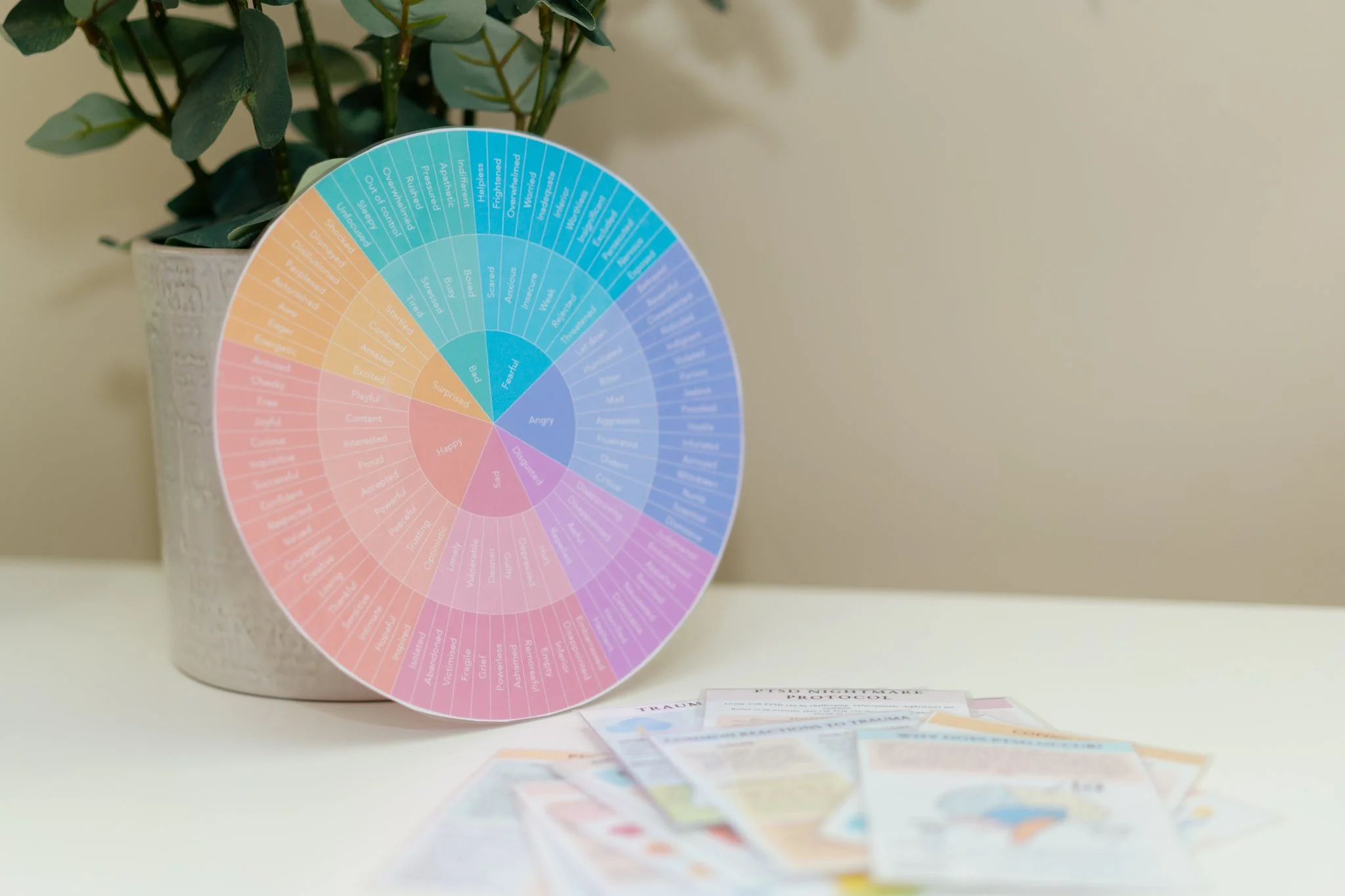 Colorful chart on a round paper about emotions and responses placed on a desk with paper reports and a potted plant nearby.