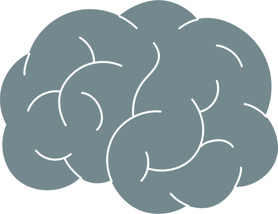 A stylized, cartoon-like illustration of a human brain in gray color.