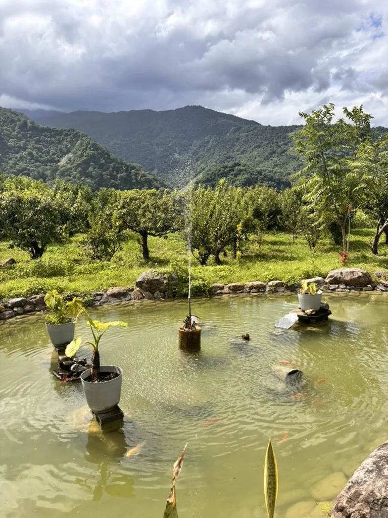 A small pond with two potted plants on rocks, surrounded by greenery and mountains in the background, under a cloudy sky.