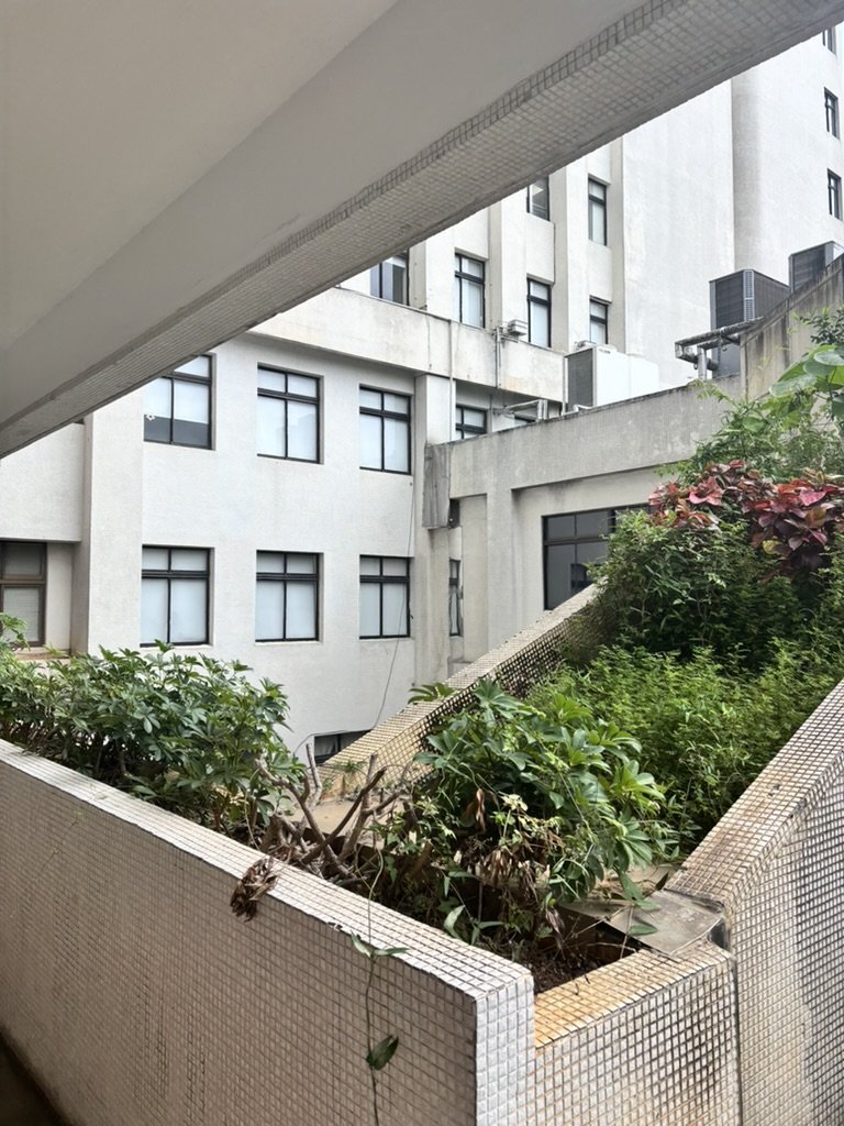 View of a small outdoor garden area with plants and shrubs, surrounded by a tiled wall, in front of a white apartment building with multiple windows.