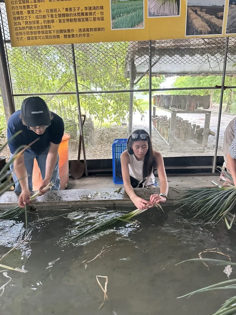 Two women are sitting at a water table, harvesting or handling plants with long leaves, possibly reeds or grass. One woman on the left is wearing a black cap and glasses, and the woman on the right has sunglasses on her head and is wearing a white sl