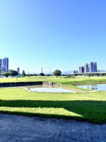 Open grassy park with small water pond, surrounded by city buildings under clear blue sky.