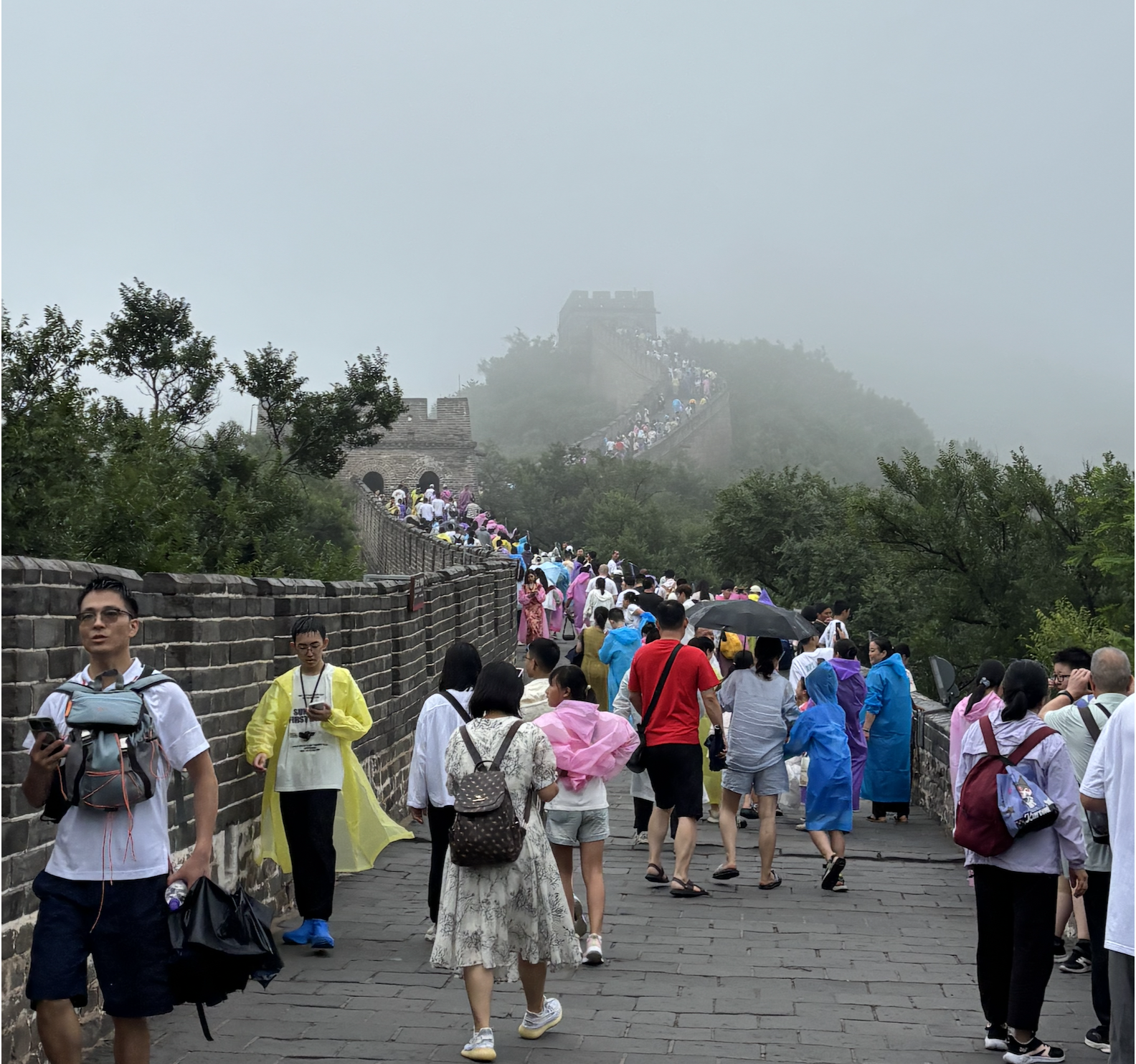 Screenshot 2026-01-03 at 8.24.33 PM.png