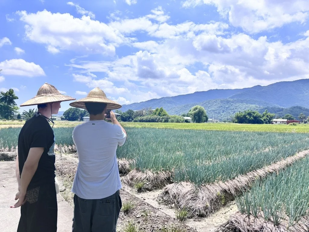 Two people wearing traditional Asian conical hats are standing on a farm path, observing and taking pictures of green crops in rice paddies with a mountain range and a blue sky with clouds in the background.