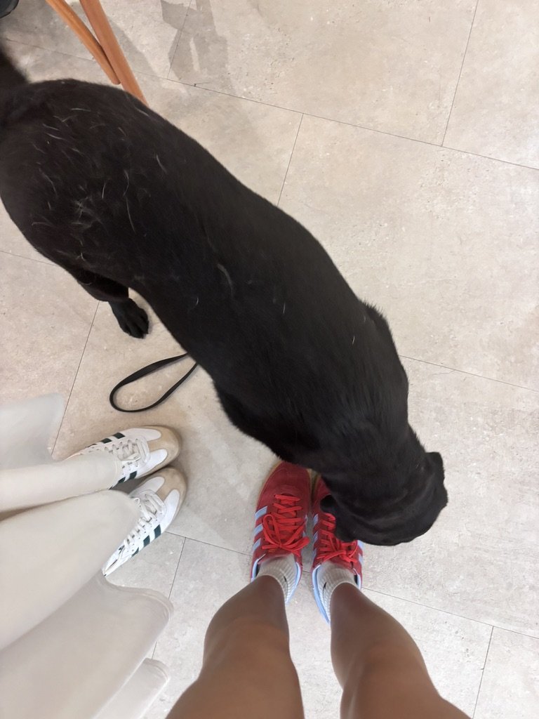 A person in red and gray athletic shoes standing on a tiled floor next to a black dog.