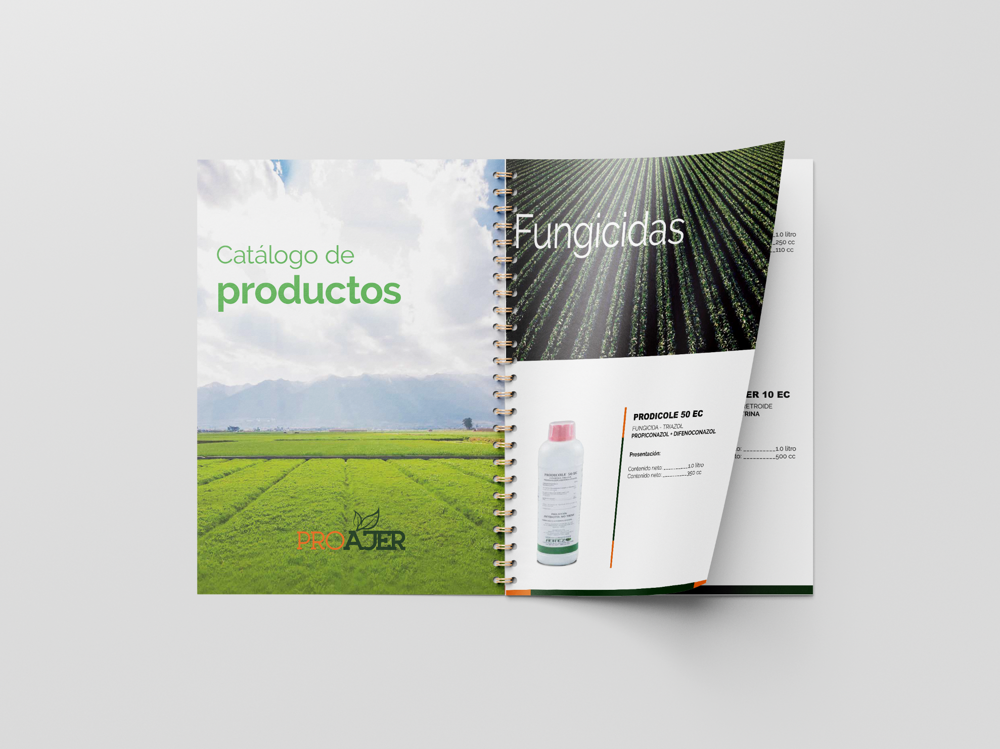 Catalogo