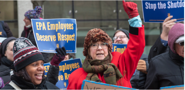 Don’t Panic—Organize!