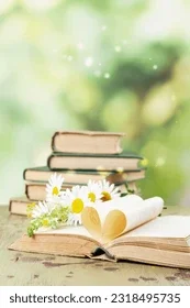 book-opened-pages-shape-heart-260nw-2318495735 (1).webp