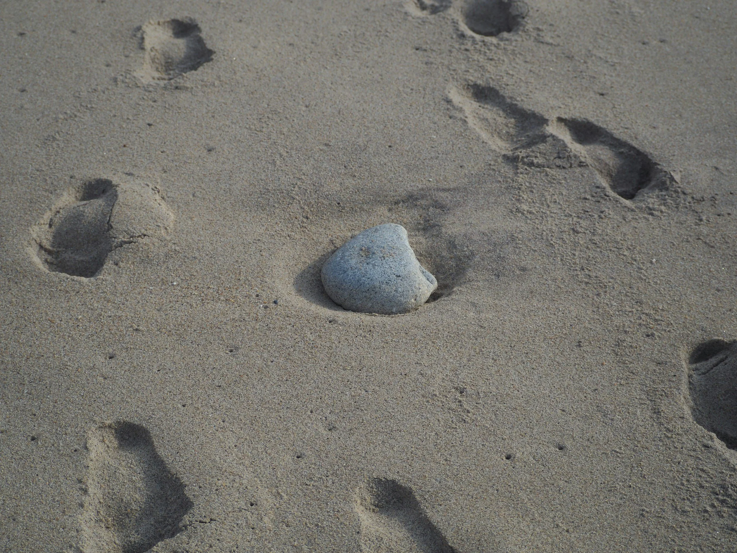 Scenic view of a lake surrounded by green rolling hills and tall mountains under a cloudy sky.