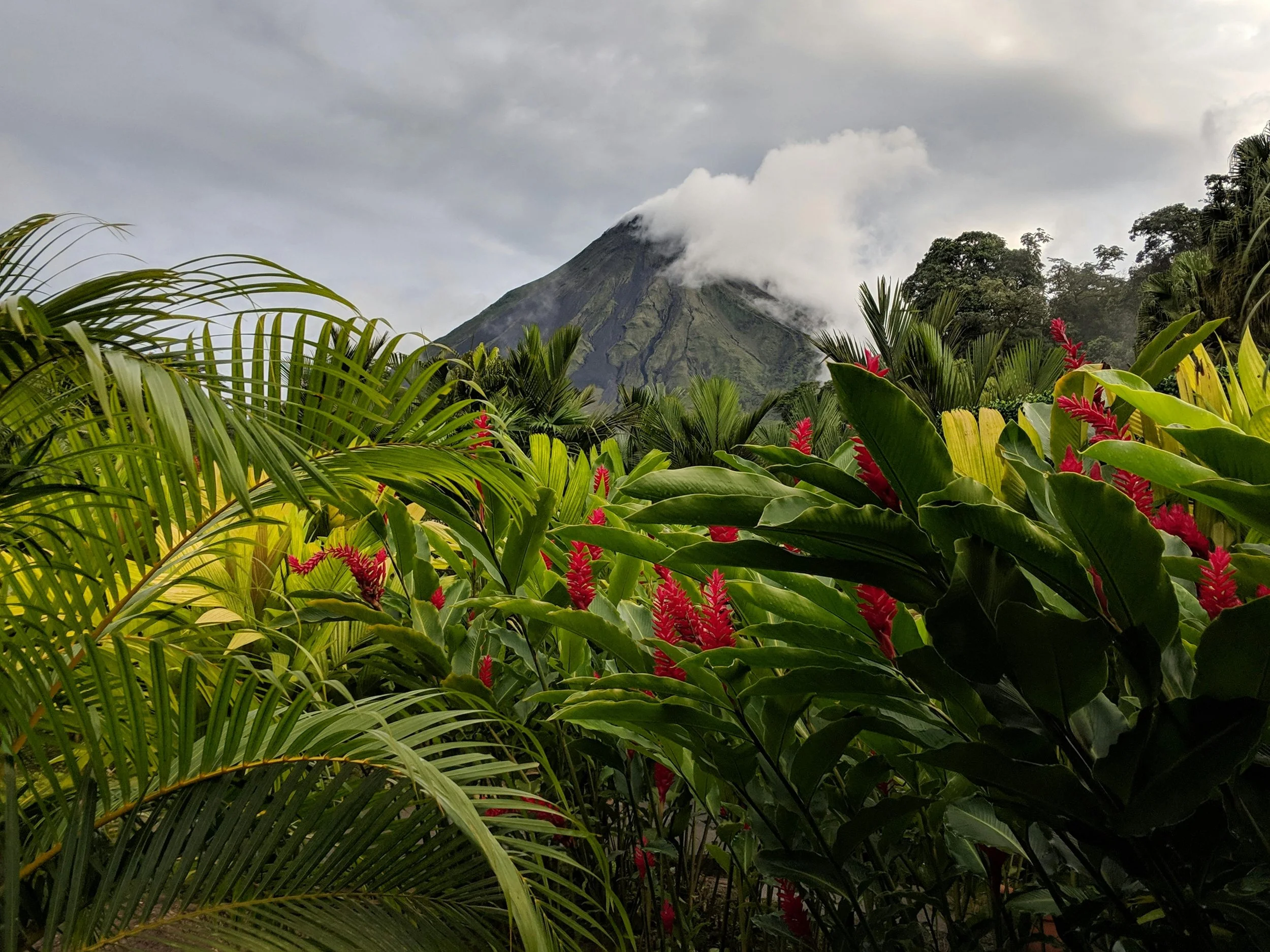 Costa Rica Full Day Tour: Explore Arenal Volcano, La Fortuna Waterfall, and Hot Springs