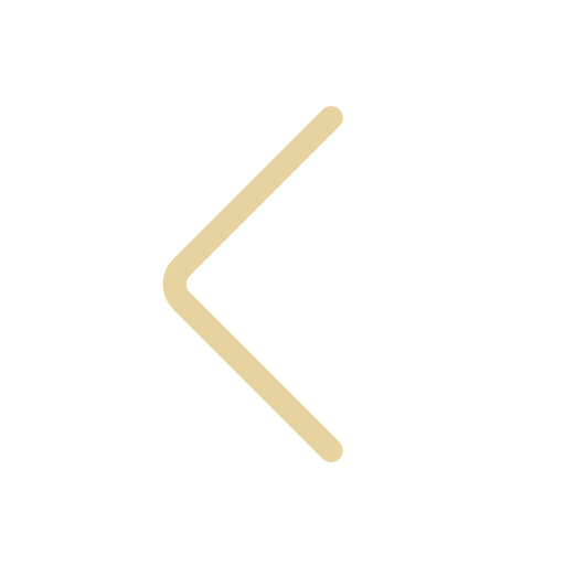 Icon of a left arrow with straight and curved lines