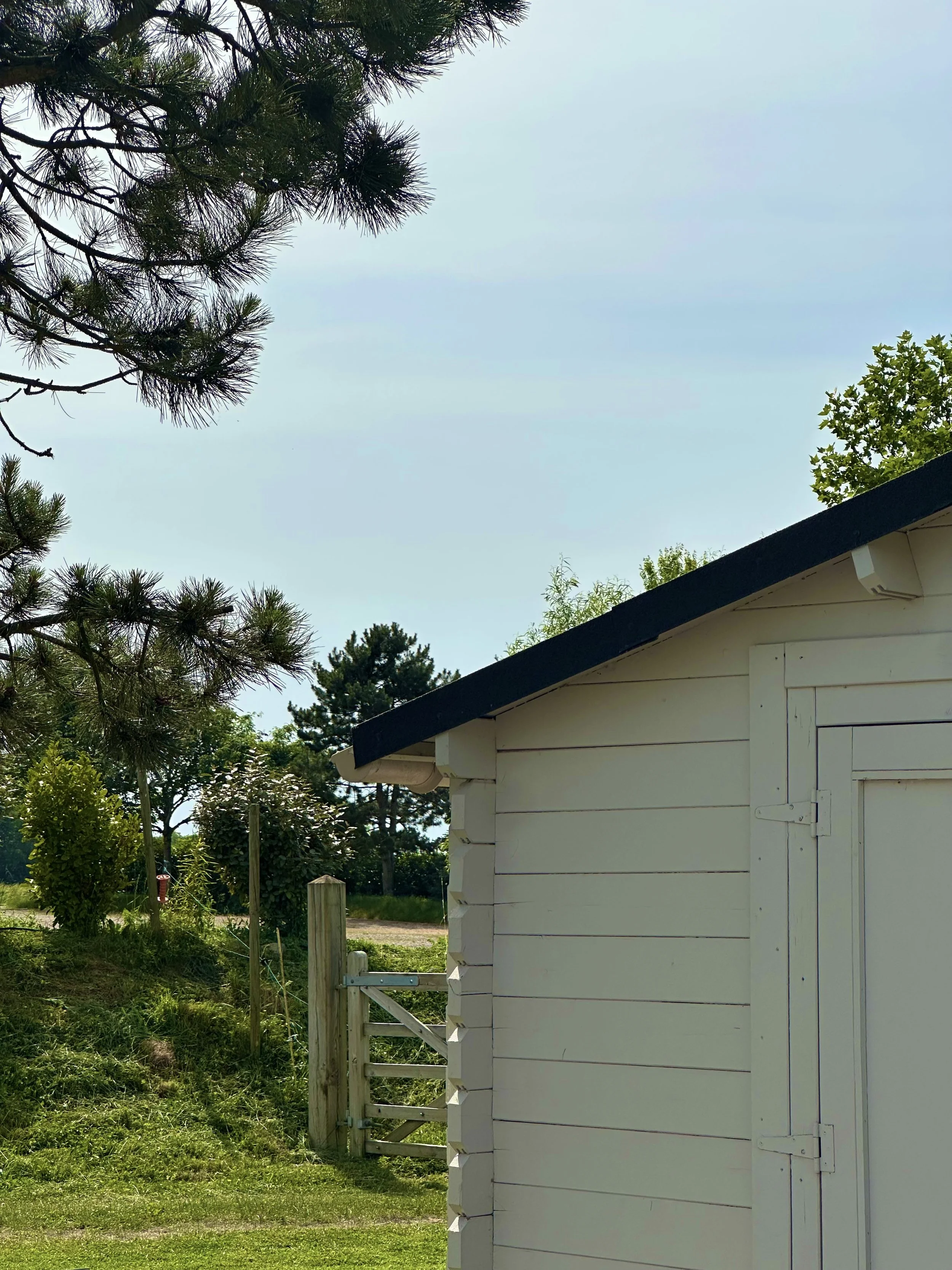 Une petite maison blanche avec un toit foncé, entourée de végétation, y compris des arbres et des arbustes, sous un ciel clair.