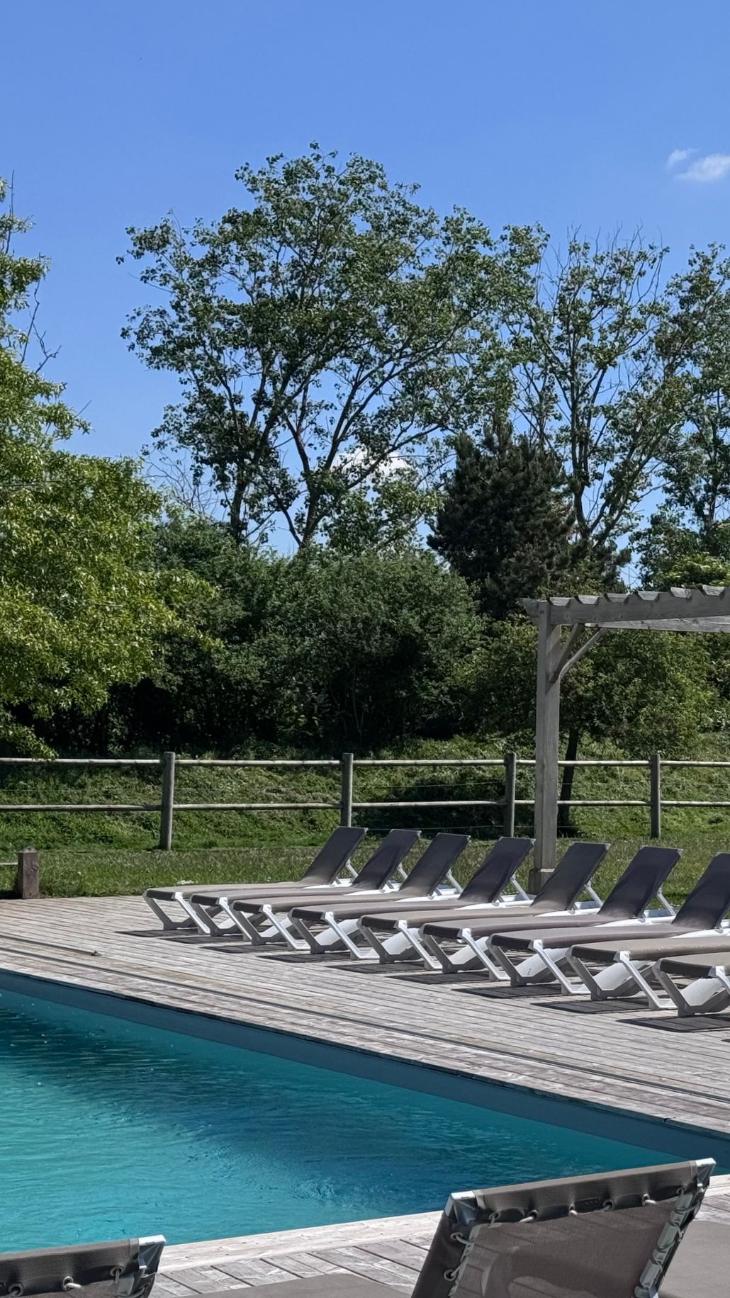 Chaises longues au bord d'une piscine, avec des arbres en arrière-plan et un ciel bleu clair.