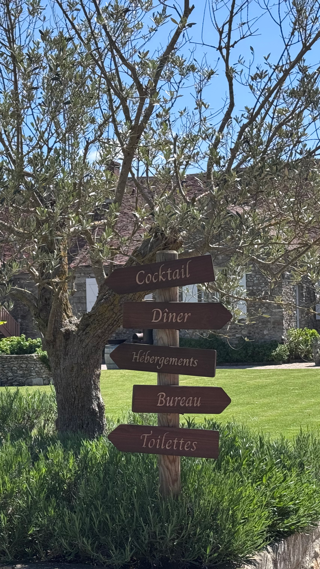 Panneaux en bois indiquant des directions vers un cocktail, un dînеr, des hébergements, un bureau, des toilettes, situés devant un arbre avec un ciel bleu en arrière-plan.