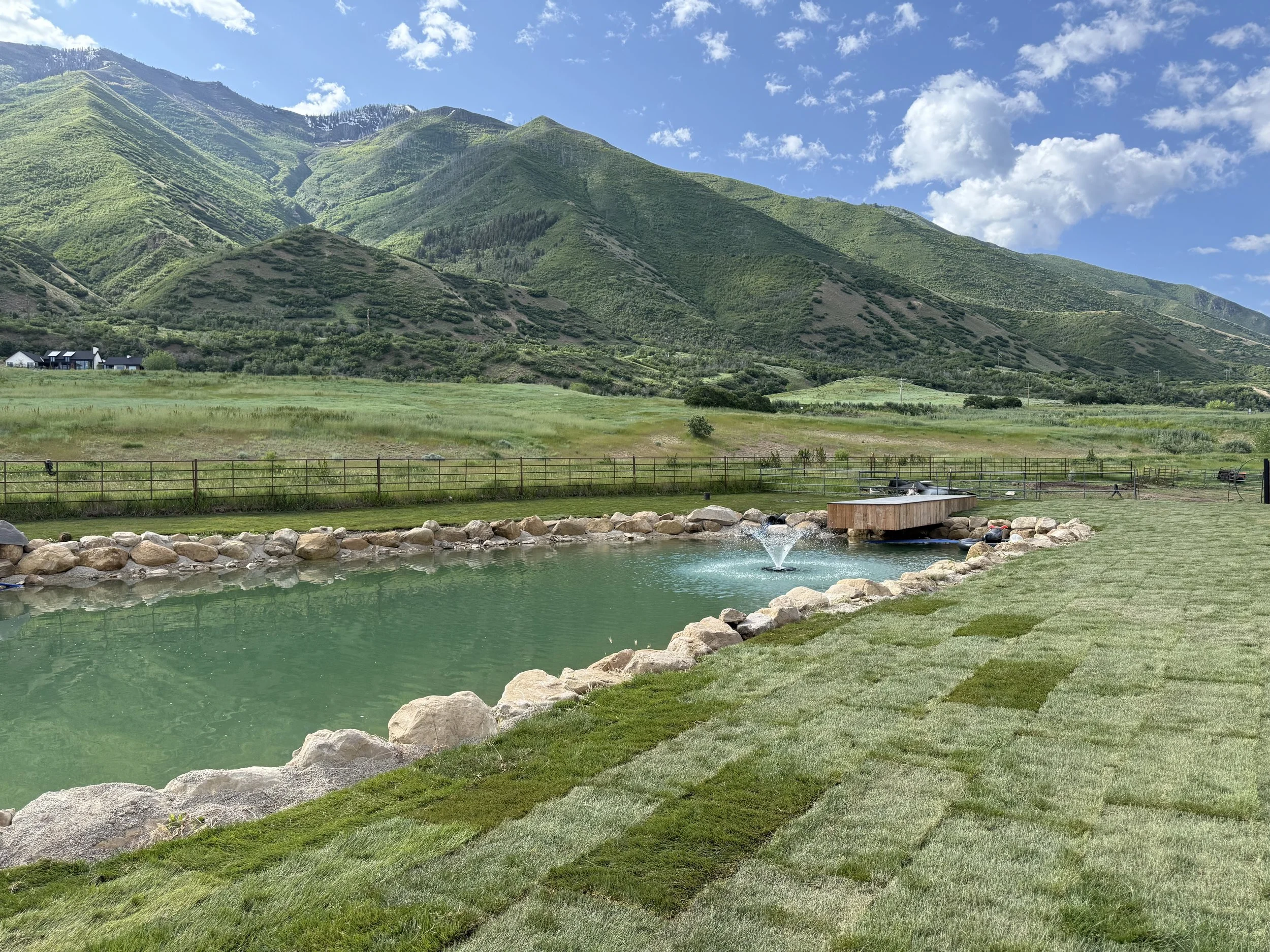 A small pond with a fountain in a grassy yard, surrounded by rocks, with a mountain landscape in the background and blue sky with clouds.