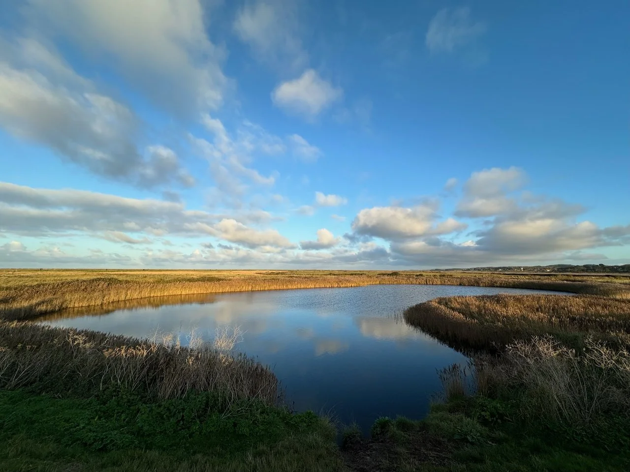 One of the glorious walks from Blakeney into the coastal wildlife reserve