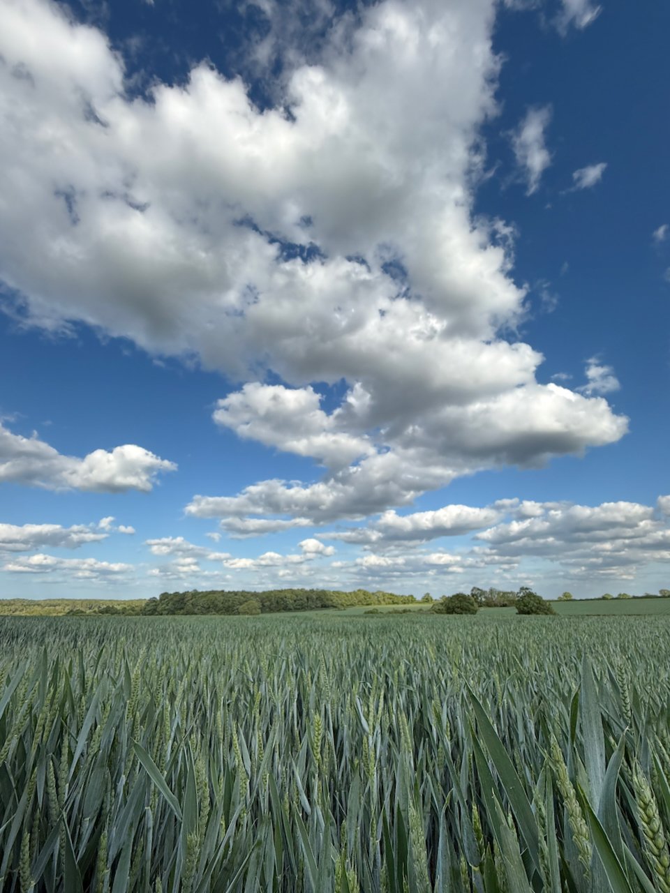 Local farmers' fields surround the village