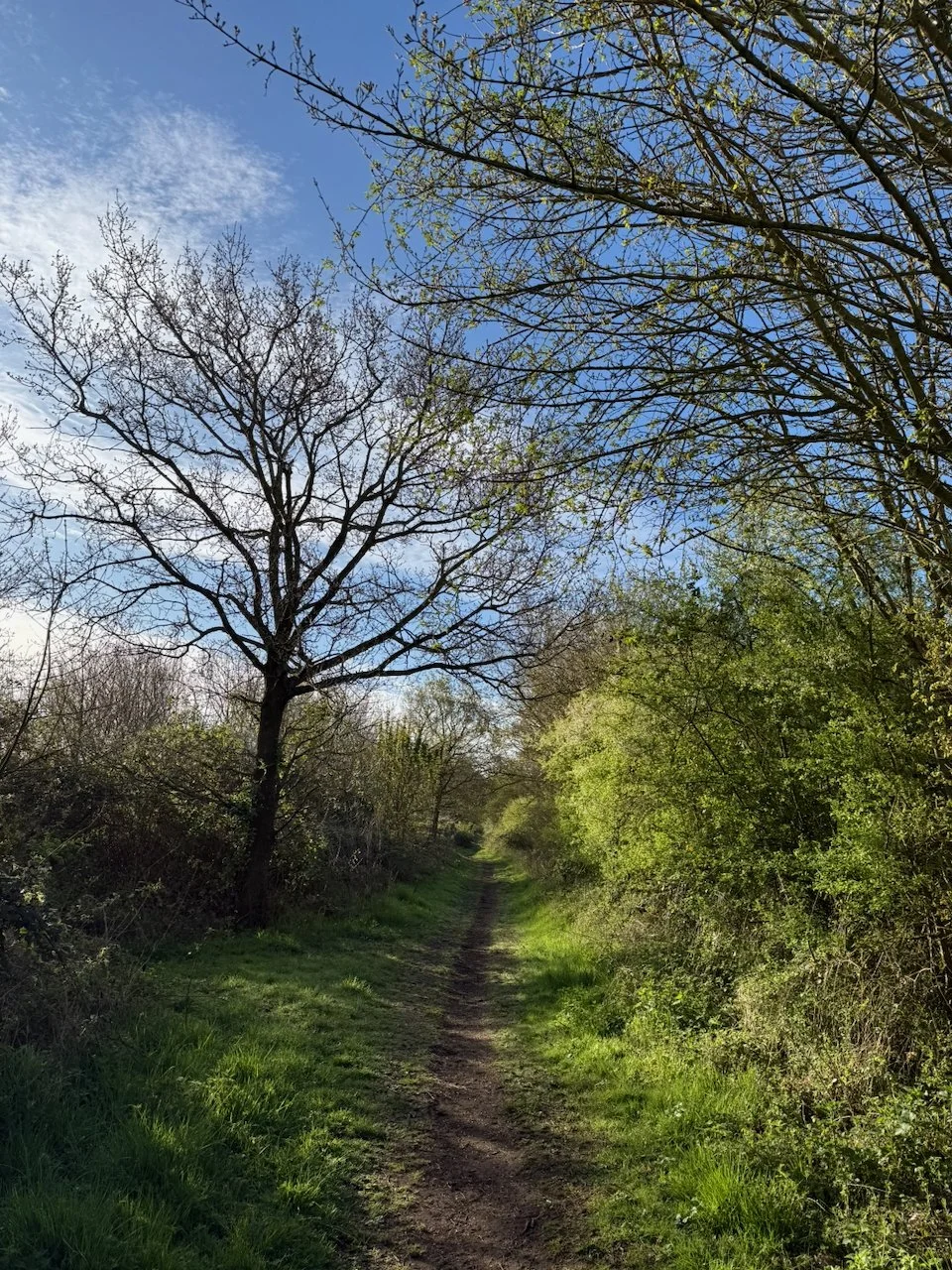 Another great walk down the old railway lines, across fields with stunning views