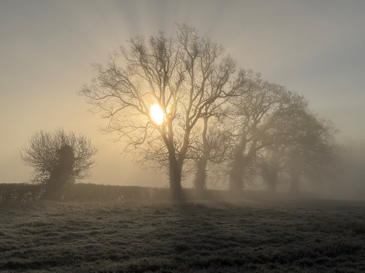 We particularly love an early walk through the fields with the dogs - often in the company of deer and rabbits!