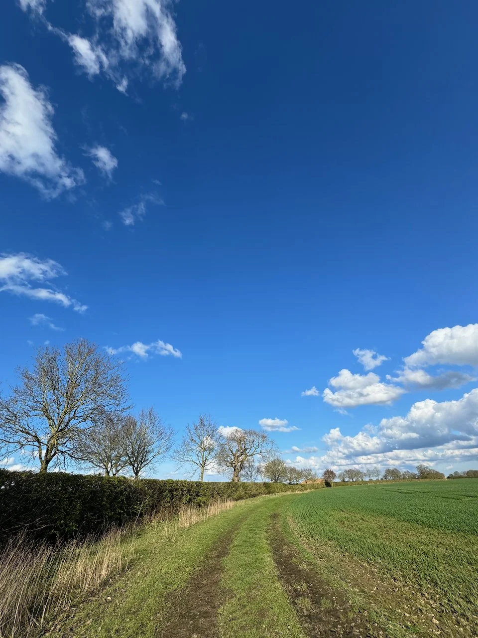 One of the walks around the fields surrounding Great Ryburgh - 1 minute from your door
