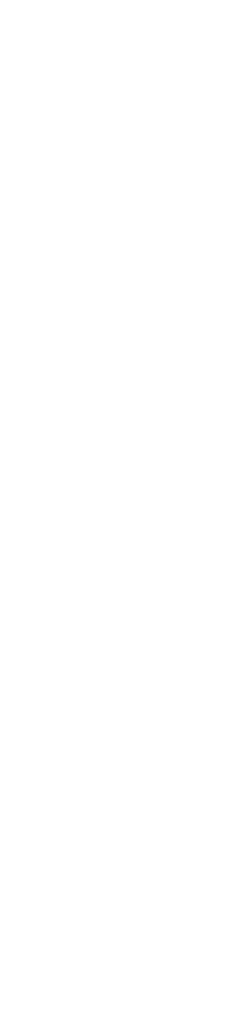 Black and white illustration of a bird's feather