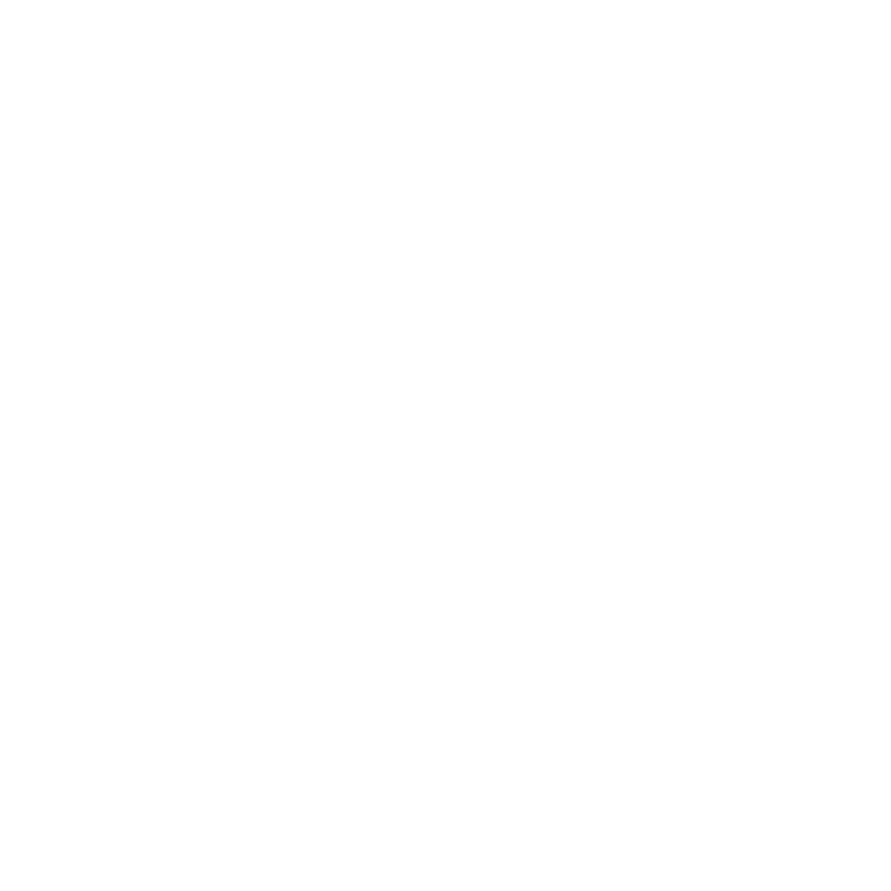 Silhouette of a white raven perched on a medicine wheel within a circle honoring the four directions with feathers pointing North, South, East and West.
