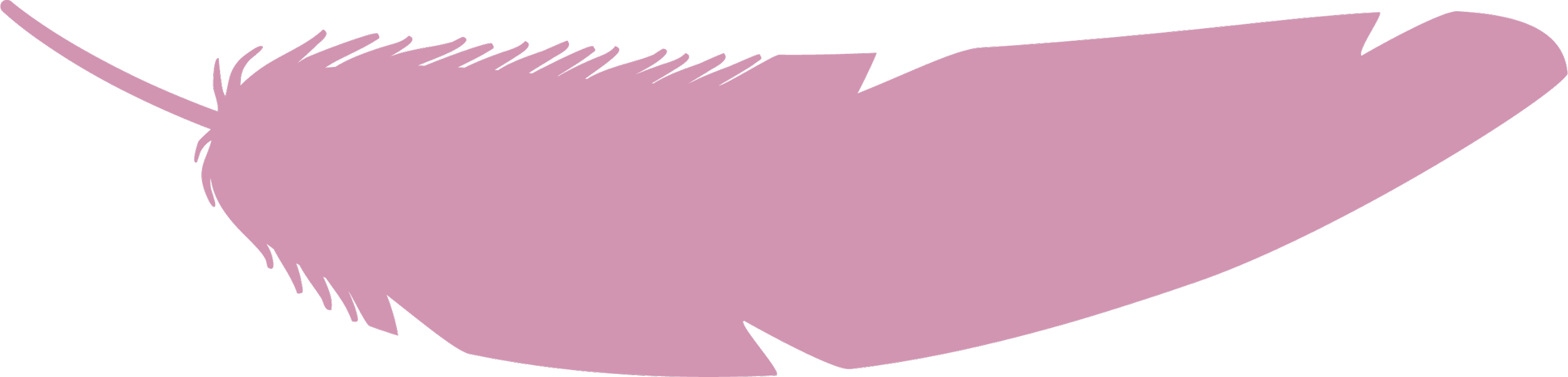 Silhouette illustration of a pink feather.