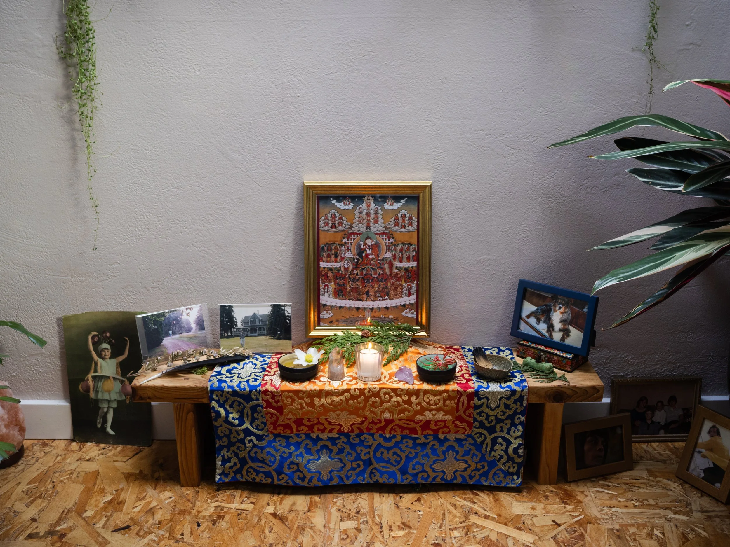 An altar with a framed religious picture, candles, and flower petals, placed on a table with colorful brocade fabric. Photos and pictures are surrounding the altar, with a white textured wall in the background and indoor plants on either side.