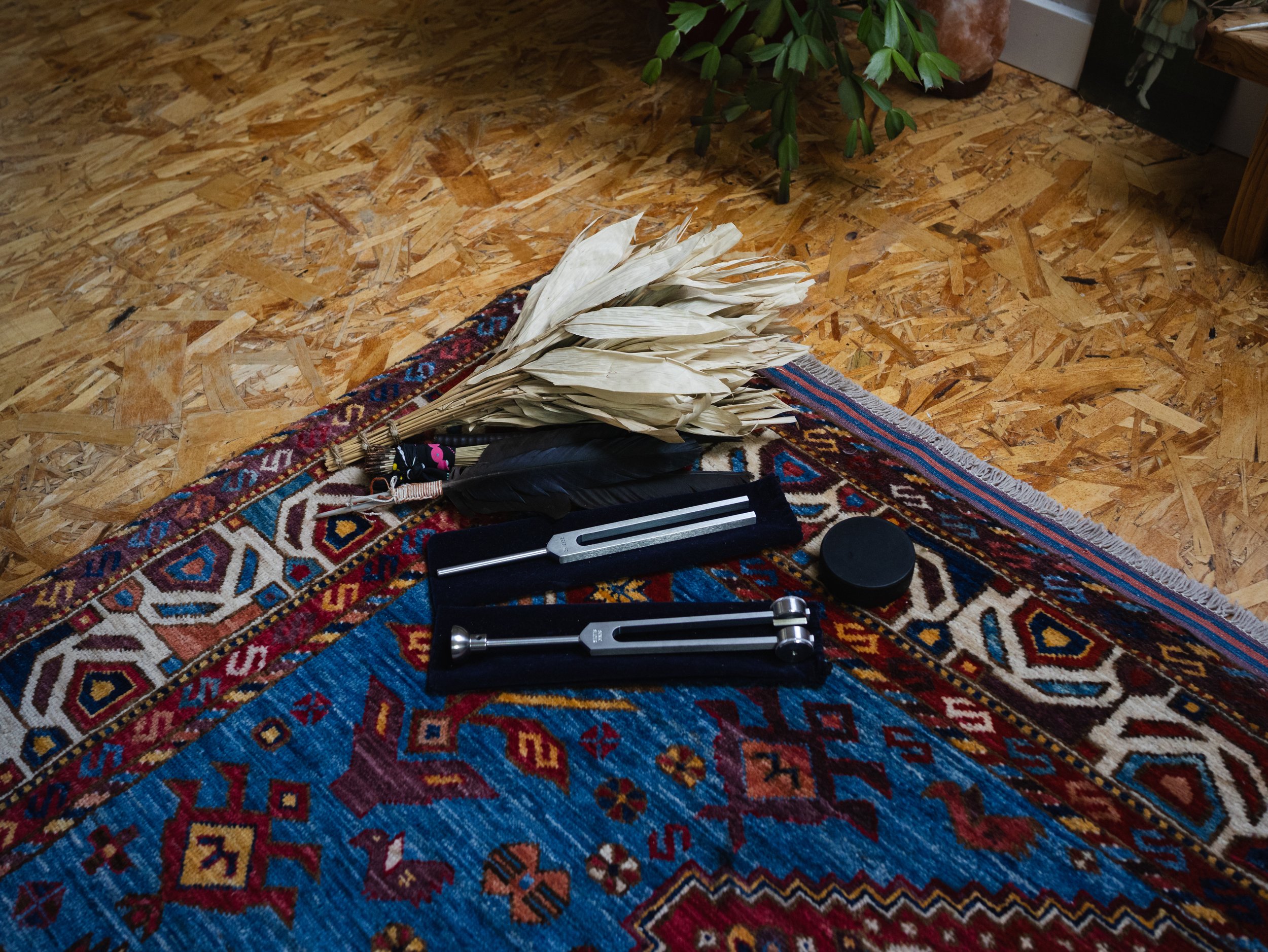 A bunch of white dried leaves or petals placed on a multicolored patterned oriental rug, with objects including a black pen, a black notebook, a black circular container, and a metallic object nearby, on a hardwood floor with a plant and a box in the background.
