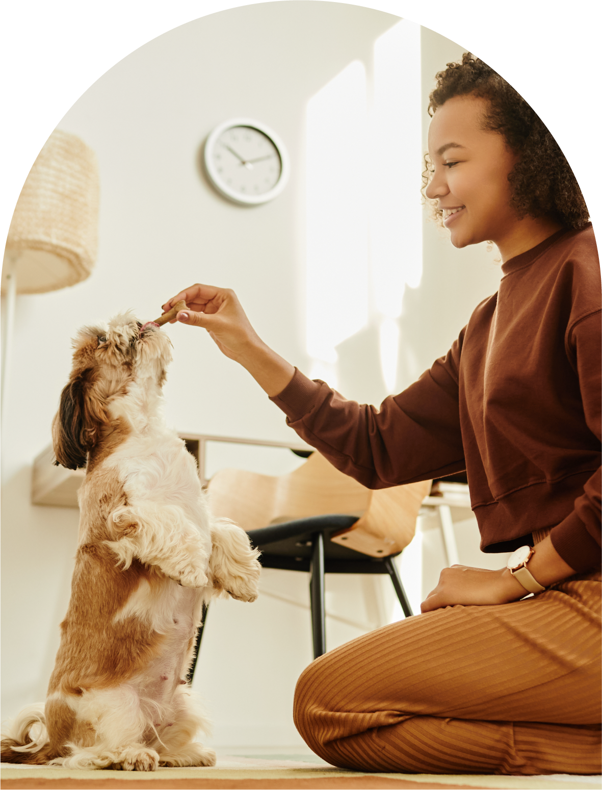A woman kneeling on the floor playing with a small dog indoors. The woman is smiling and holding a treat or toy near the dog's face. A wall clock is visible in the background.