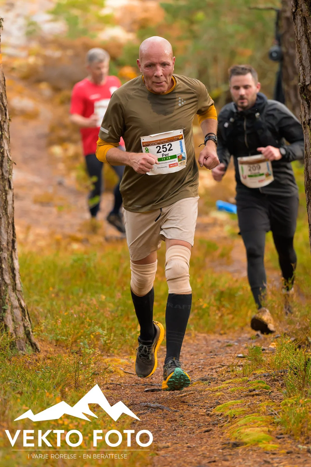 Kolmårdsrundan trail höst-359.jpg